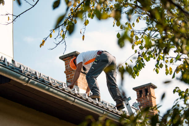 Best Roof Repair Services  in Old River Winfree, TX